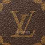 Monogram Speedy Bandoulière 20 Bag
