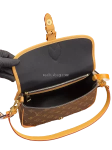 LV Monogram Canvas Diane Bag