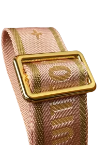 LV Monogram Multi Pochette Accessoires light pink