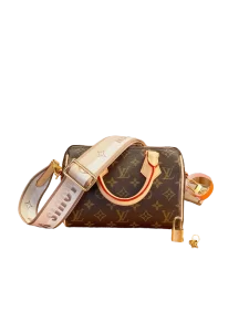 LV Monogram Speedy Bandoulière 20 Bag