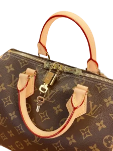 LV Monogram Speedy Bandoulière 25 Bag